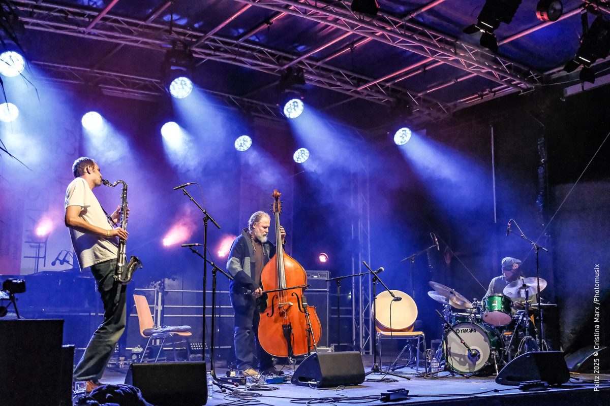 A band on a stage lit with blue and violet beams, a double bassist at centre