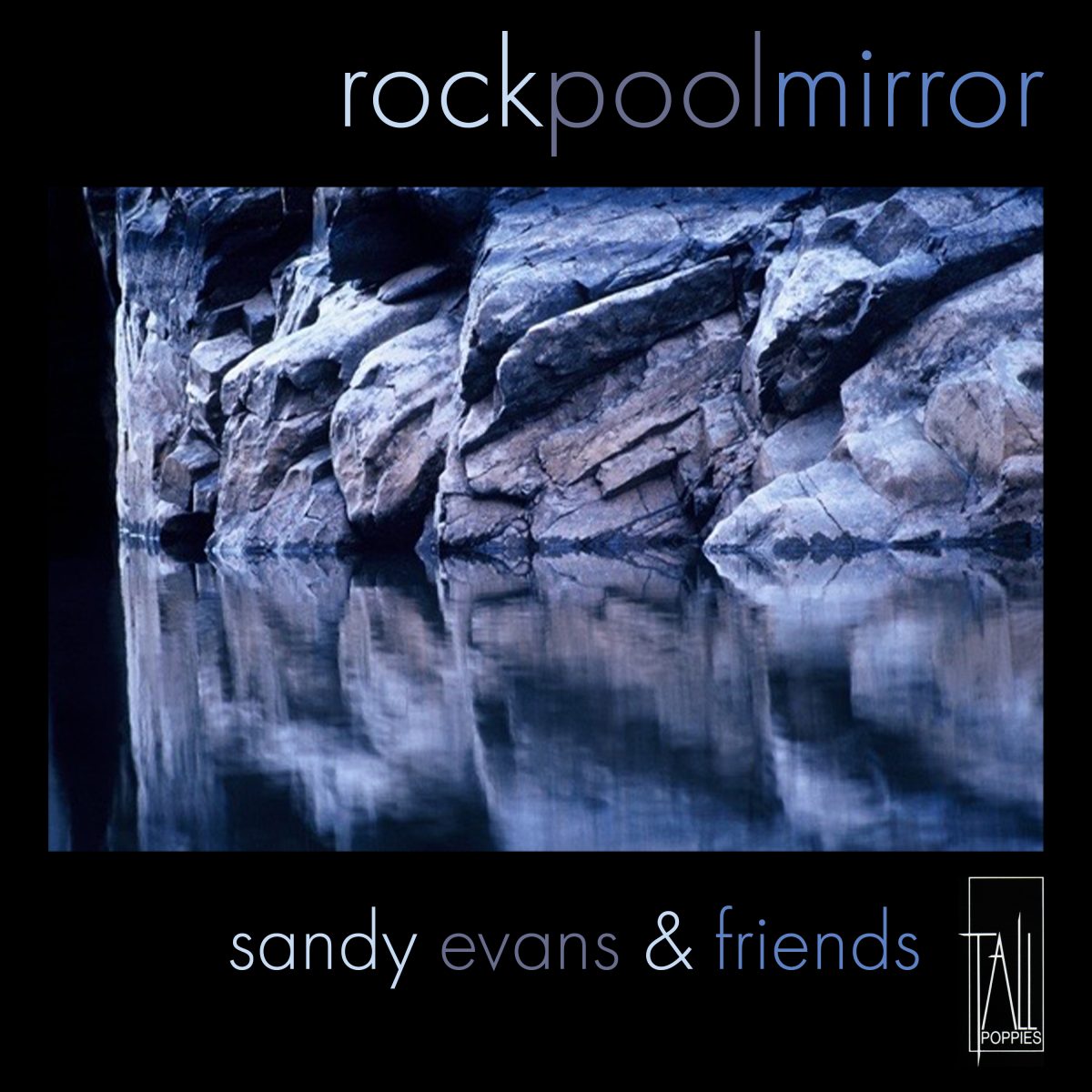 Rock Pool Mirror cover: dark blue rock reflected in still water, the title in white