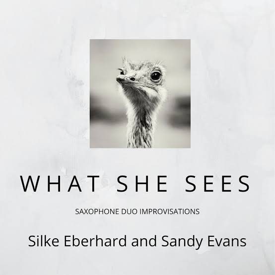 What She Sees cover: an ostrich head on white, the title in spaced capitals
